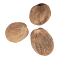 Nutmeg Image