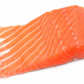 Salmon Image