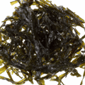 Seaweed Image