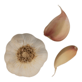 Garlic Image