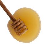 Honey Image