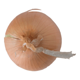 Onions Image