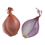 Shallots Image