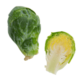 Brussels Sprouts Image