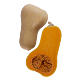 Butternut Squash Image