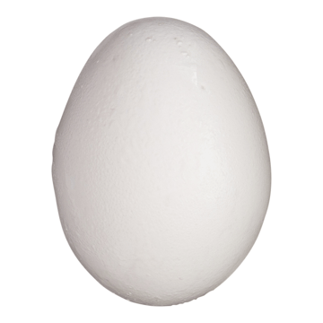 Eggs Image