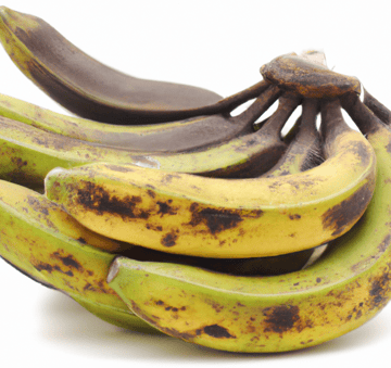 Plantains Image