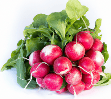 Radishes Image
