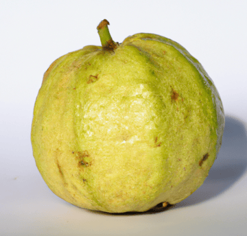 Guava Image