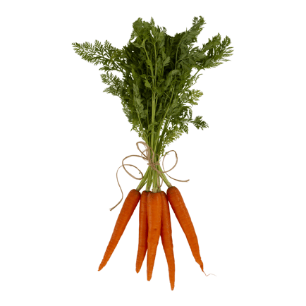 Carrots Image