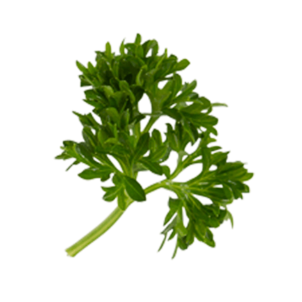 Parsley Image