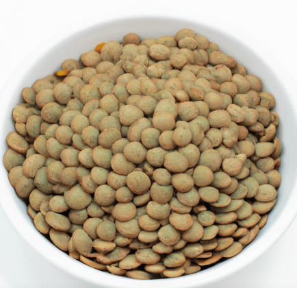 Lentils Image