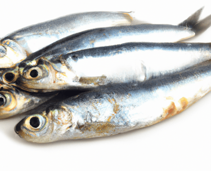 Sardines Image