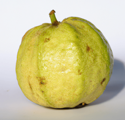 Guava
