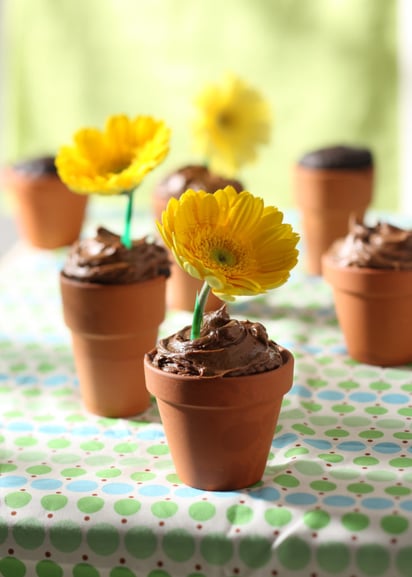 Adorable DIY Chocolate Flowerpot Cakes